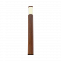 Liv Corten