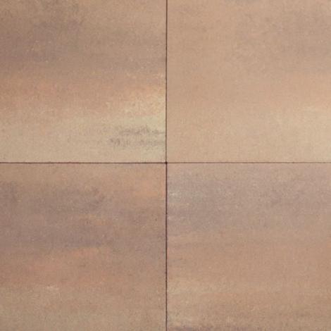 Medano Safari  60x60