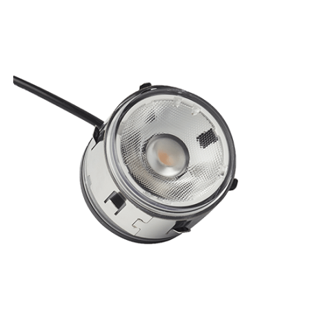 BIG FLUX (without ring)