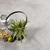 GeoCeramica® 100x100x4 Stavelot Grigio
