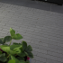 GeoAntica 20x5x6 Milano