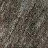 Quarziti Unico 60x30x2 River QR04