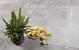 GeoCeramica® 100x100x4 Bel Cemento Grigio