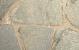 Flagstones Balkan