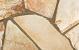 Flagstones Florida Yellow