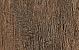 Noon Unico 60x33x2 Honey NN03