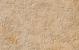 GeoCeramica® 80x80x4 ARDESIE Island