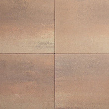 Medano Safari  60x60