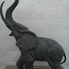 Olifant