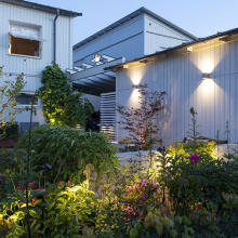 ACE UP-DOWN 100-230V Rosé Silver